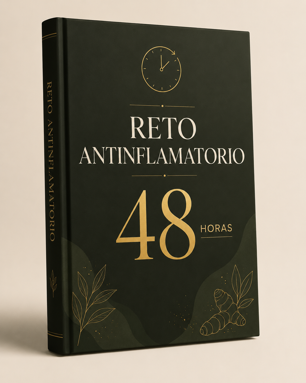 Recetario Antinflamatorio + Reto de 48 Horas — 100 recetas y 3 bonus